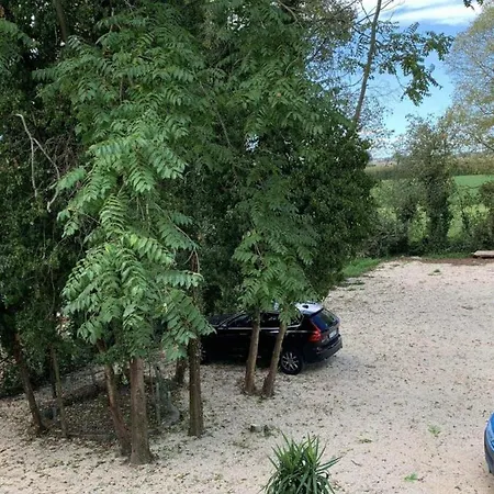 Il Selvatico 4*