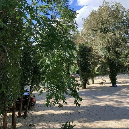 Il Selvatico