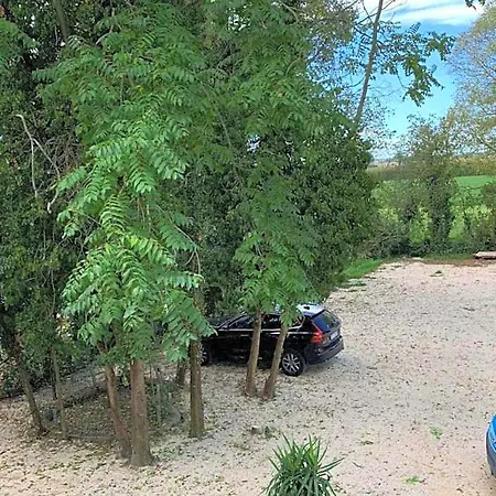 Il Selvatico Panzió 4*