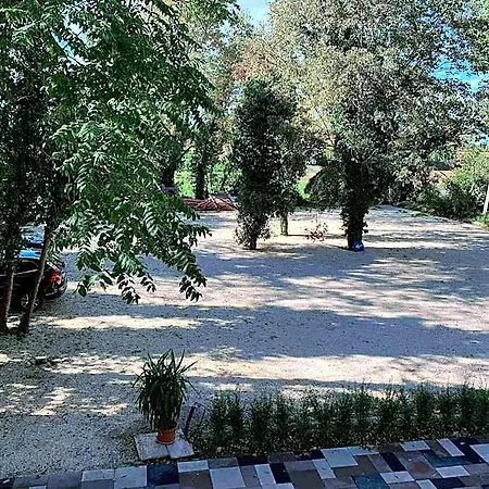 Il Selvatico 4*