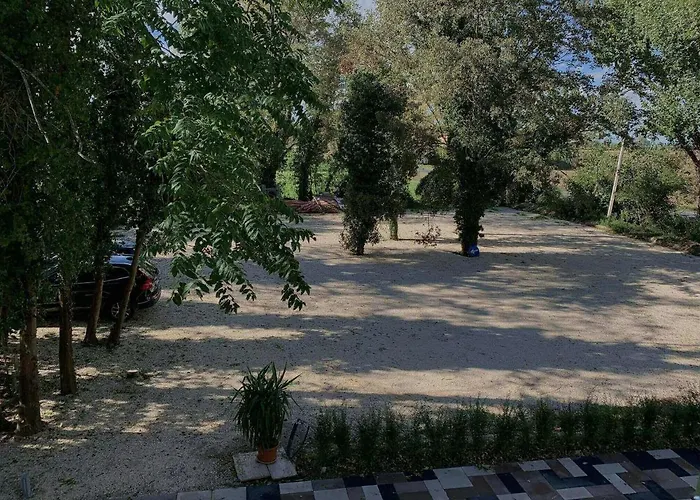 Bed & Breakfast Il Selvatico