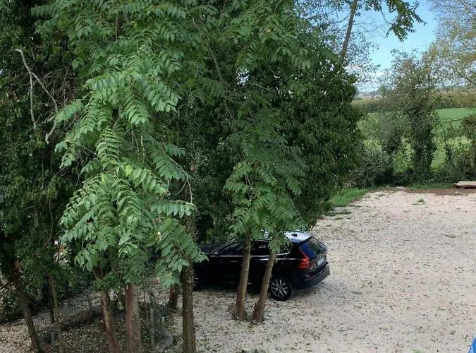 Il Selvatico 4*